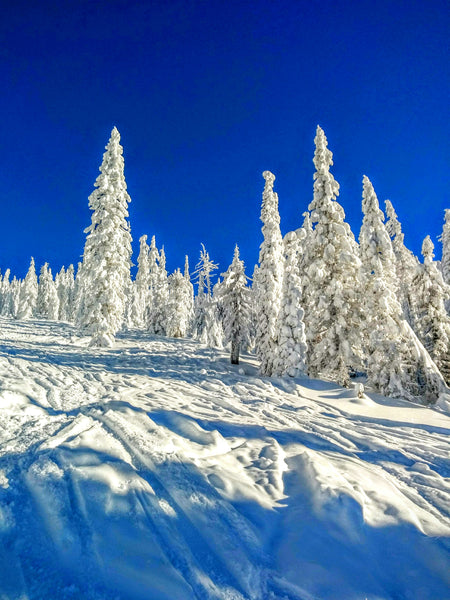Silver Mountain Idaho  2015-2016
